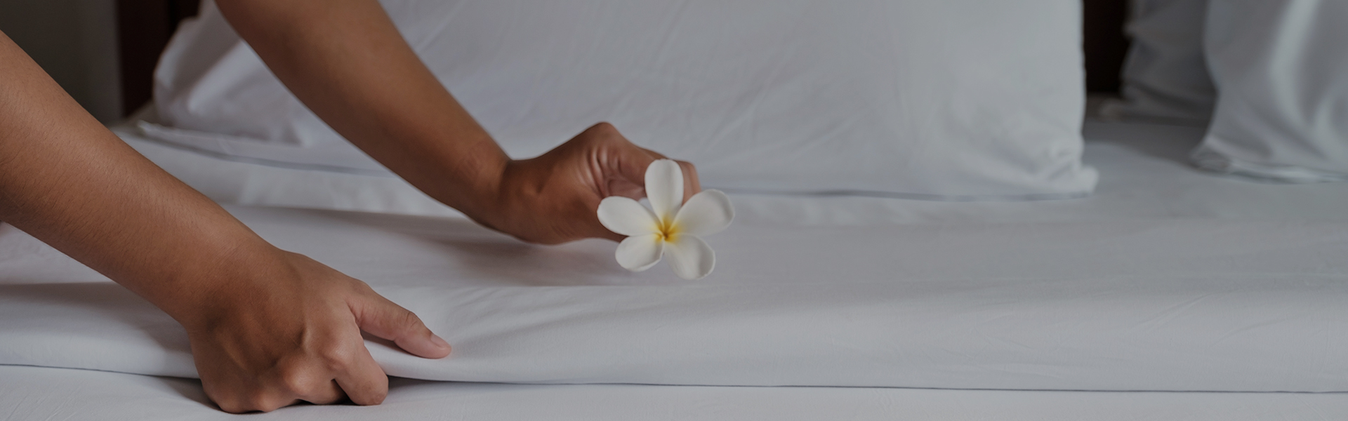 Flat Sheets